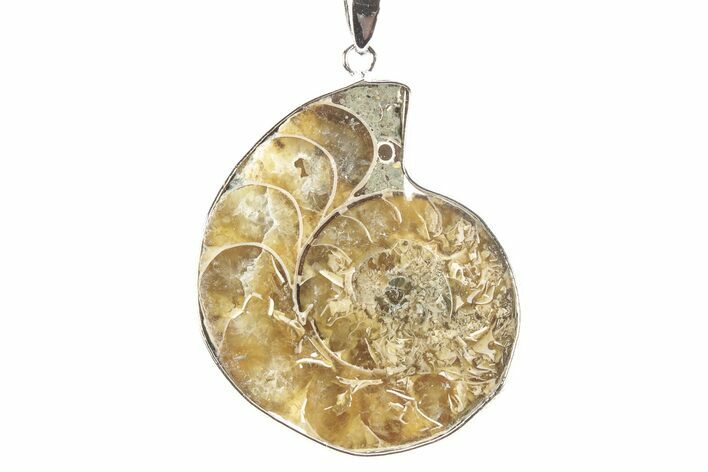 Fossil Ammonite Pendant - Million Years Old #252570